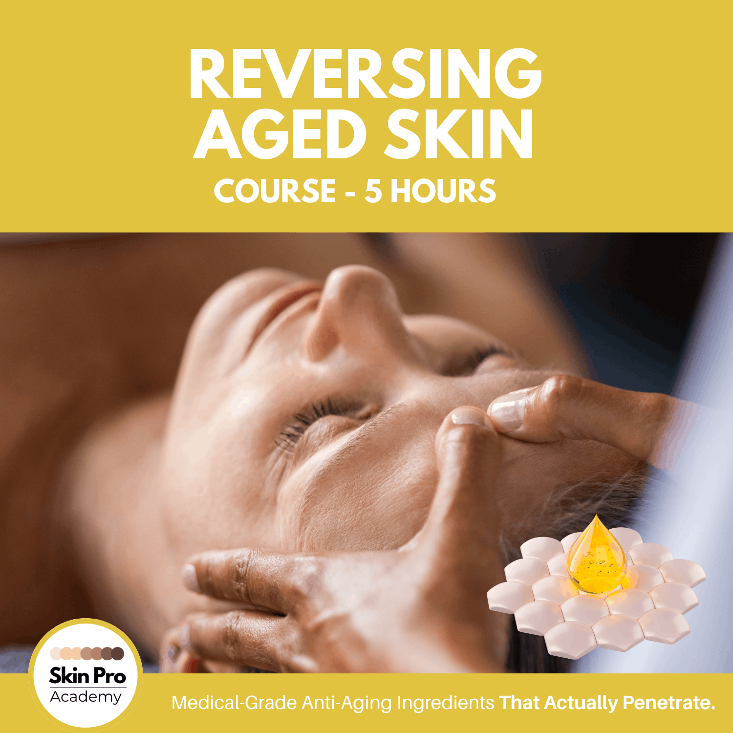 Learn how to Reverse Aged Skin the with SkinPro Academy Masterclass